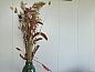 Guest house 672506 • Holiday property Groene hart • Huisje in Haastrecht  • 8 of 14