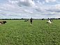 Unterkunft 673008 • Ferienhaus Groene hart • Vakantiehuisje in Leidschendam  • 12 von 12