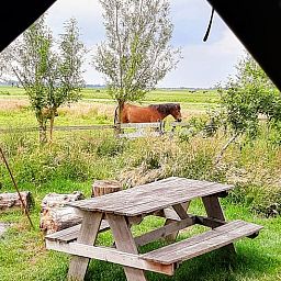 Geniet van het landelijke uitzicht bij Vakantiehuisje in Aarlanderveen, Zuid-Holland. Ontspan aan de picknicktafel te midden van de natuur.