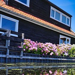 Vakantiehuis in Gouderak omgeven door bloeiende hortensia's, gelegen aan het water in het Groene Hart van Zuid-Holland.