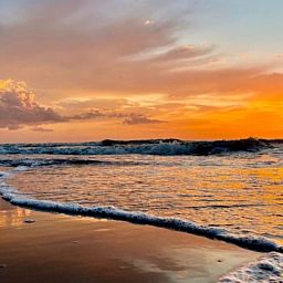 Unterkunft 6801111 - Ferienhaus Noordzeekust - Vakantiehuis Tiny House QuDi