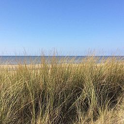 Guest house 6801149 - Holiday property Noordzeekust - Vakantiehuis SunnyLogde