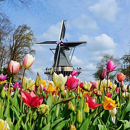 Guest house 6801149 - Holiday property Noordzeekust - Vakantiehuis SunnyLogde