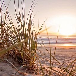 Unterkunft 680139 - Appartement Noordzeekust - Appartement Bella