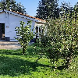 Exterior of Cottage in Lisse, vacation home with green surroundings on the North Sea coast.