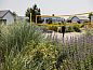 Verblijf 682806 • Vakantiewoning Goeree-Overflakkee • Strandpark Duynhille 2  • 8 van 26