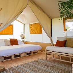 Guest house 690105 - Tent house Voorne Putten/Hoekse waard - Safaritent Lodge (inclusief ontbijt)