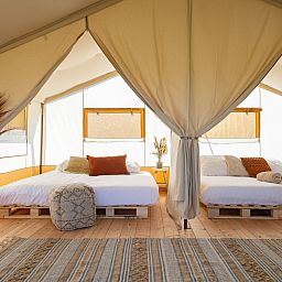 Guest house 690105 - Tent house Voorne Putten/Hoekse waard - Safaritent Lodge (inclusief ontbijt)