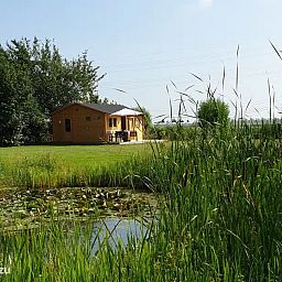 Guest house 691102 - Holiday property Voorne Putten/Hoekse waard - Chalet 'De Oude Gooten 2'