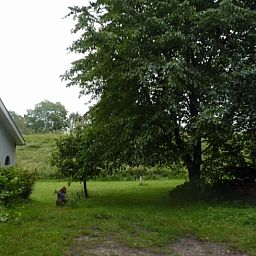 Unterkunft 712001 - Ferienhaus Rijk van Nijmegen - Vakantiehuis in Kekerdom