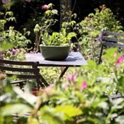 Geniessen Sie den ruhigen Garten im Holiday home in Balgoij, einem charmanten Ferienhaus in Rijk van Nijmegen, Gelderland.