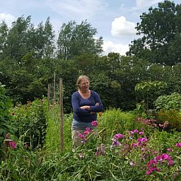 Geniessen Sie den bluehenden Garten in Holiday home in Balgoij, einem ruhigen Ferienhaus in Rijk van Nijmegen, Gelderland.