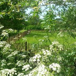 Entspannen Sie sich in der natuerlichen Umgebung des Ferienhauses in Balgoij, Gelderland, mit Blick auf gruene Wiesen und bluehende Pflanzen.