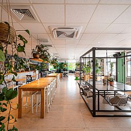 Camping de Molenhoek