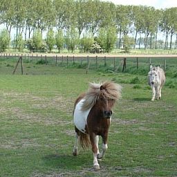 Vakantie-appartementen Crea-Trends