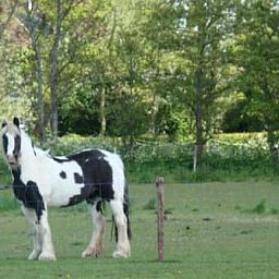 Vakantie-appartementen Crea-Trends