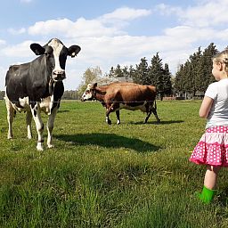 Familiepark de Vechtvallei