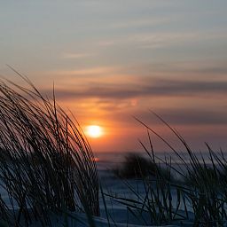 Little Canvas Escape