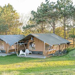 Little Canvas Escape