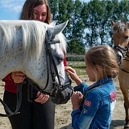 Recreatiecentrum De Vogel