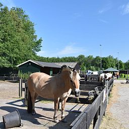 Vakantiepark 't Urkerbos