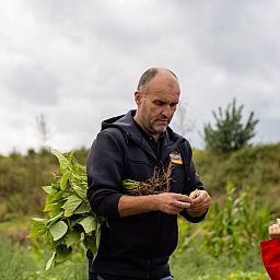 FarmCamps De Kamperhoek