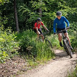 Landal Amerongse Berg