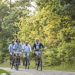 Landal Villapark Vogelmient