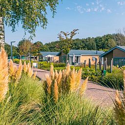 De Kraaijenbergse Plassen