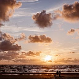 Roompot Beach Houses Zandvoort