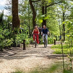 R�sidence Lage Vuursche