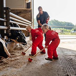 FarmCamps De Kalverliefde