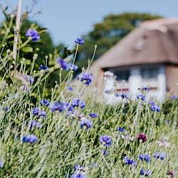 Recreatiepark Het Eperwoud