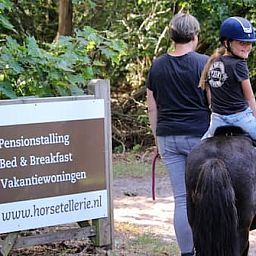 Horsetellerie Rheezerveen