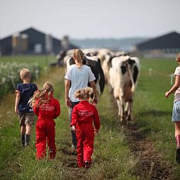 FarmCamps Kooij Hoeve