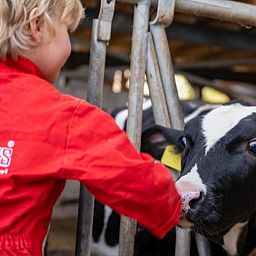 FarmCamps Kooij Hoeve