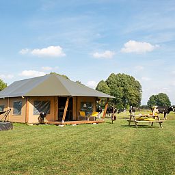 FarmCamps Kooij Hoeve