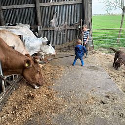 Boerencamping Swarthoeve