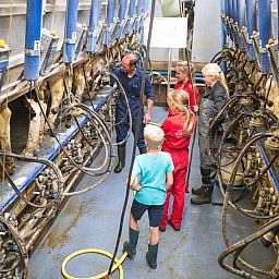 FarmCamps Op Flakkee