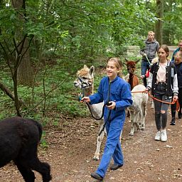 FarmCamps De Bosrand