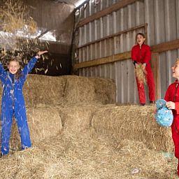 FarmCamps De Bosrand