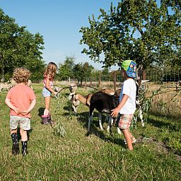FarmCamps Oranjepolder