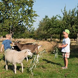 FarmCamps Oranjepolder