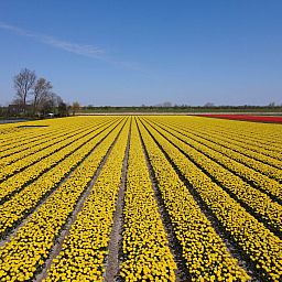 Camping de Tulpenweide