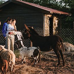 BoerenBed De Appelsche