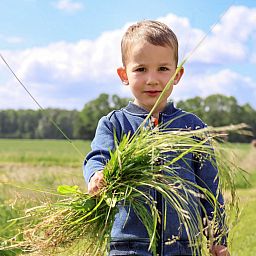 Boerderijcamping de Hinde