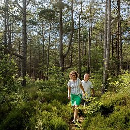 Landal De Vlinderhoeve