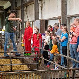 FarmCamps Mariekerke