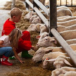 FarmCamps Mariekerke