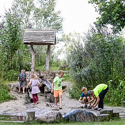 Vakantiepark Witterzomer